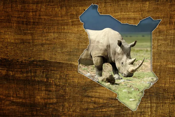 Quênia Wildlife Map Design — Fotografia de Stock