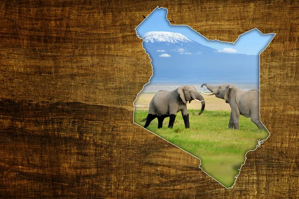 Kenya Wildlife Mappa Design — Foto Stock