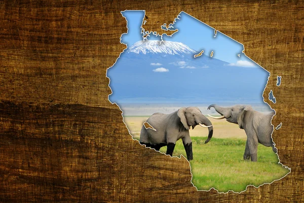 Tanzania Wildlife Map Design — Stock Photo, Image