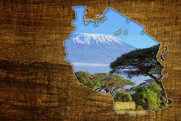 Дизайн карты дикой природы Танзании — стоковое фото