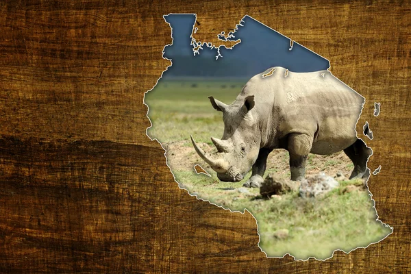 Tanzania Wildlife Mappa Design — Foto Stock