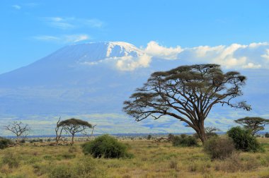 kilimanjaro dağı