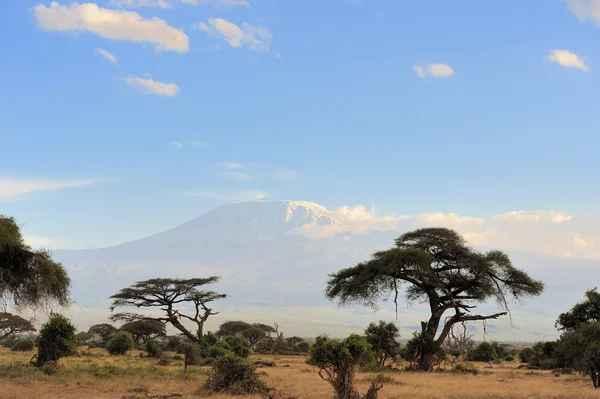 Kilimanjaro — Foto de Stock