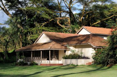 bir ormanda turist resort