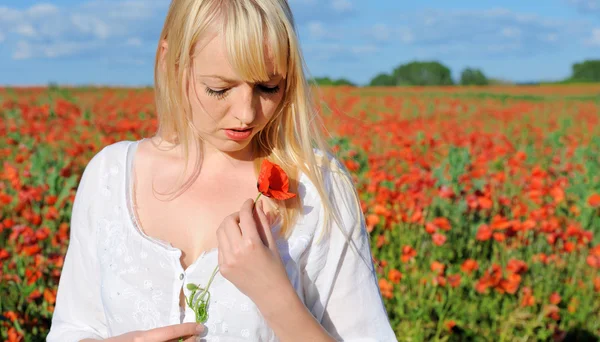 Mooi meisje in het veld — Stockfoto