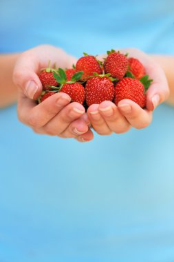 Hands holding fresh strawberries