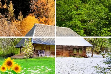 dört mevsim bir fotoğraf