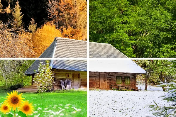 Four seasons in one photo — Stock Photo, Image