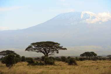 kilimanjaro Dağı tepesinde kar