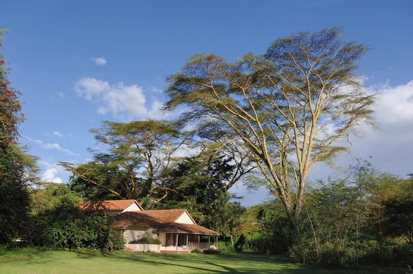 Tourist resort in a woods — Stock Photo, Image