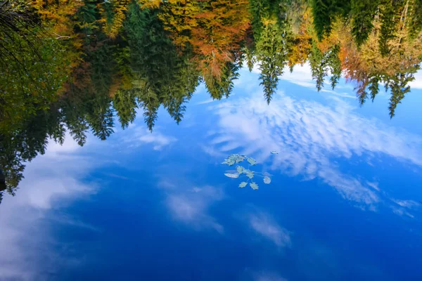 Spiegelung Des Herbstwaldes Der Spiegelfläche Des Sees — Stockfoto