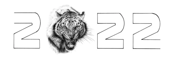 手書きの虎の肖像画とテキスト2022 白の背景にスケッチグラフィックモノクロイラスト オリジナル トレースなし — ストック写真