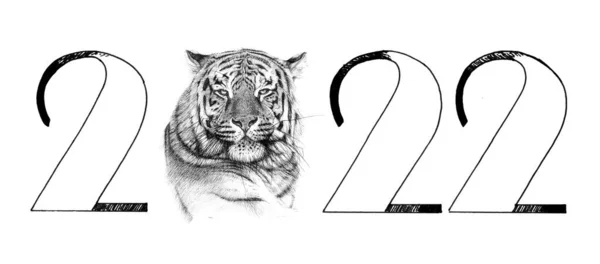 Ручной Портрет Тигра Текст 2022 Набросок Графики Монохромной Иллюстрации Белом — стоковое фото