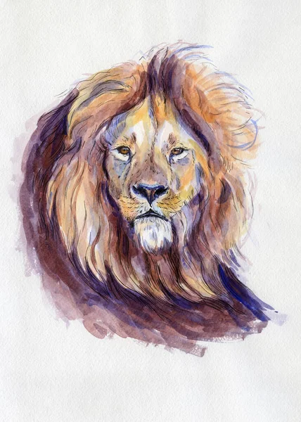 Portrait Lion Illustration Aquarelle Animal Dessiné Main Sur Blanc — Photo