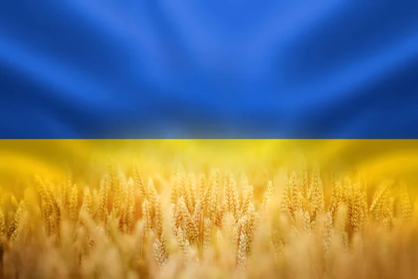 Simbolo Dell Ucraina Bandiera Nazionale Gialla Blu Ucraina Con Primo — Foto Stock