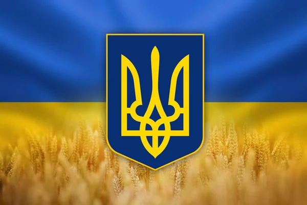 Illustrazione Della Bandiera Dell Ucraina Sventolando Nel Vento Con Stemma — Foto Stock