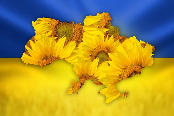 Mappa Dell Ucraina Girasoli Bandiera Nazionale Ucraina Blu Gialla Con — Foto Stock