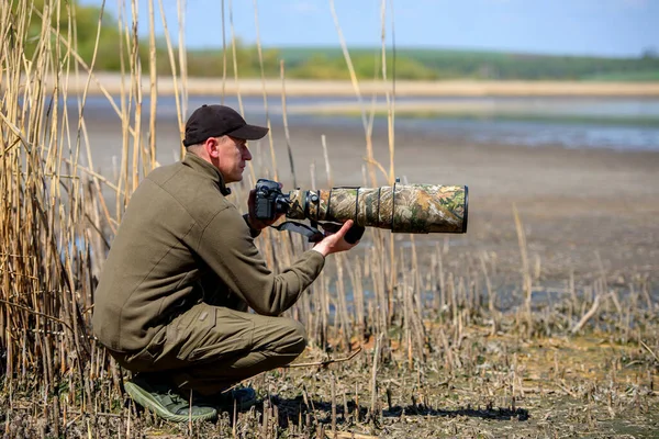 Yazın Vahşi Yaşam Fotoğrafçısı Vahşi Doğada Çalışıyor — Stok fotoğraf