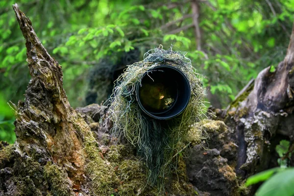 Wildlife Photographer Summer Ghillie Camouflage Suit Working Wild — Stock Photo, Image