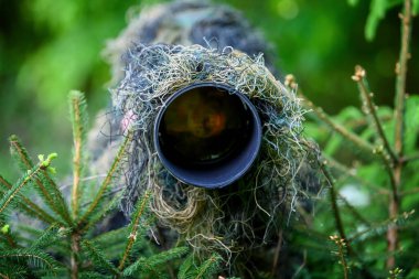 Vahşi yaşam fotoğrafçısı yazın büyük gölde çalışıyor.