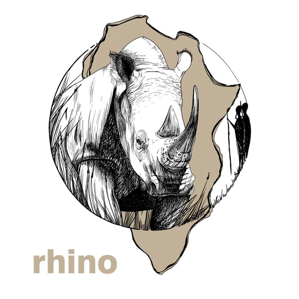 Hand Drawn Rhino Sketch Graphics Illustration White Background Originals Tracing — Zdjęcie stockowe