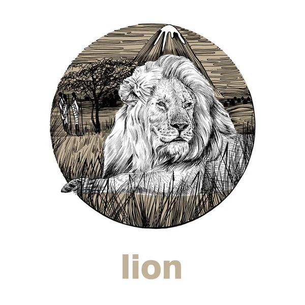Hand Drawn Lion Sketch Graphics Illustration White Background Originals Tracing — Stock Photo, Image
