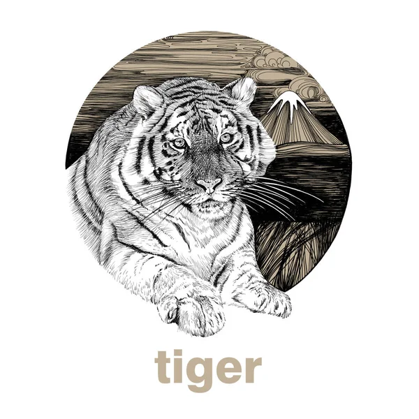 Hand Drawn Tiger Sketch Graphics Illustration White Background Originals Tracing — Stock Photo, Image