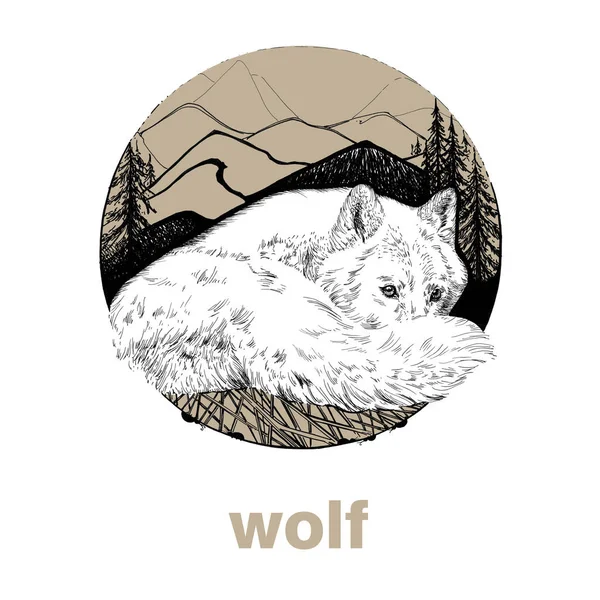 Hand Drawn Wolf Sketch Graphics Illustration White Background Originals Tracing — Stockfoto