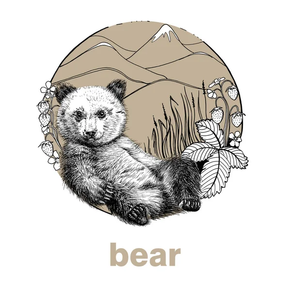 Hand drawn bear cub, sketch graphics illustration on white background (originals, no tracing)