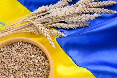 Fabric wave flag of Ukraine with wheat spikes. Blue and yellow bright colors. Close up curved texture background