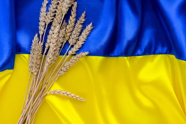 Gewebefahne Der Ukraine Mit Weizendornen Blaue Und Gelbe Leuchtende Farben — Stockfoto