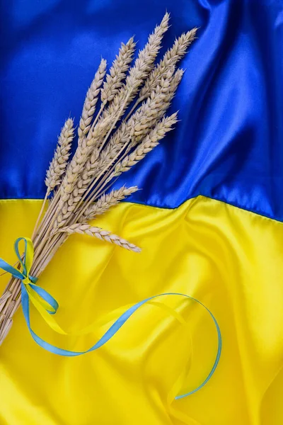Fabric Wave Flag Ukraine Wheat Spikes Blue Yellow Bright Colors — Stockfoto