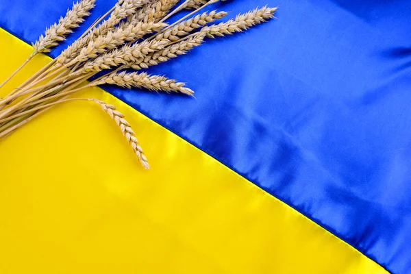 Fabric Wave Flag Ukraine Wheat Spikes Blue Yellow Bright Colors — Photo