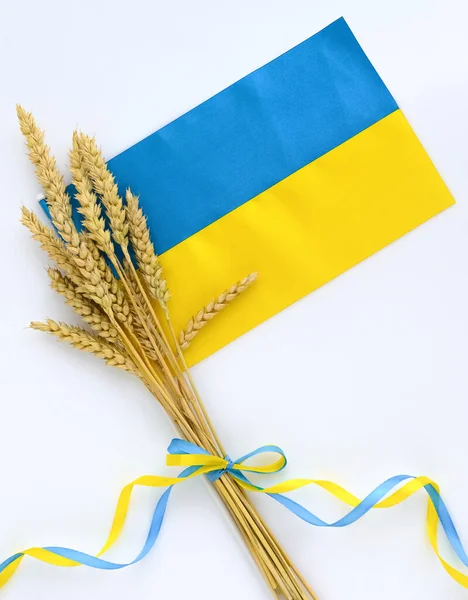 Weizenstacheln Und Bänder Den Farben Der Ukrainischen Flagge Auf Hellem — Stockfoto