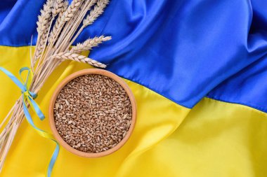 Fabric wave flag of Ukraine with wheat spikes. Blue and yellow bright colors. Close up curved texture background