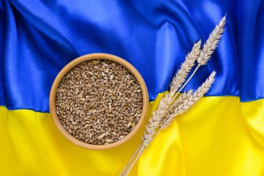 Fabric wave flag of Ukraine with wheat spikes. Blue and yellow bright colors. Close up curved texture background