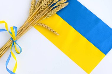 Açık arkaplanda Ukrayna bayrağı renginde buğday başlıkları ve kurdeleler. Ukrayna 'daki savaş yüzünden küresel gıda kıtlığı kavramı