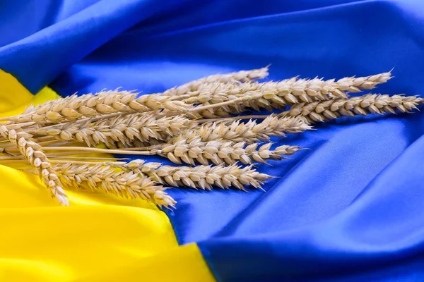 Fabric Wave Flag Ukraine Wheat Spikes Blue Yellow Bright Colors — Photo