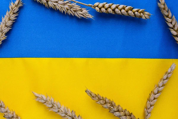 Bandeira Onda Tecido Ucrânia Com Picos Trigo Cores Brilhantes Azuis — Fotografia de Stock