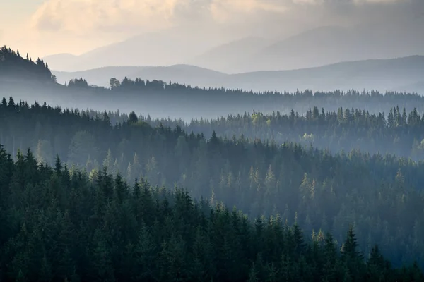 Majestátní Pohled Krásné Hory Mlhy Mraků Mlhavé Krajině — Stock fotografie