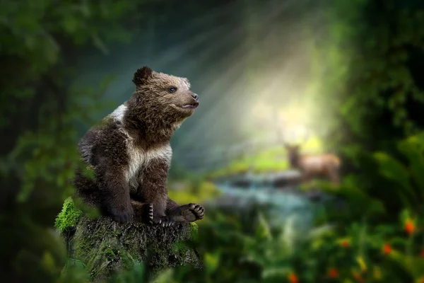 Ведмідь Сидить Пні Посеред Лісу Тлі Річки Оленів Сонячних Променів — стокове фото