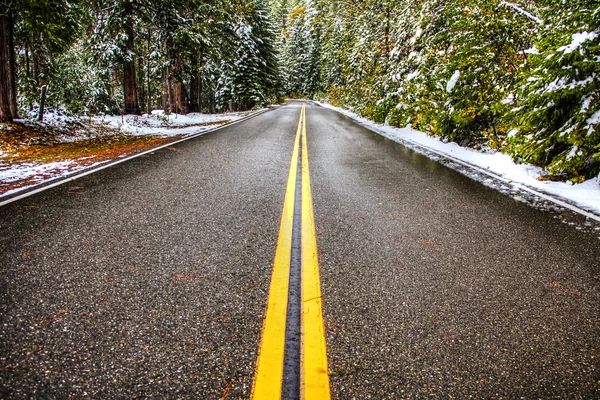 Een winter weg — Stockfoto