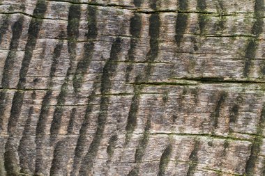 Elektrikli testere ahşap arka plan