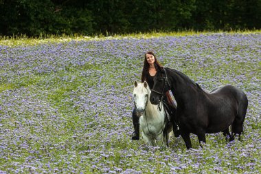 Mor çiçeklerle dolu bir tarlada siyah bir frizle beyaz bir atın üstünde güzel bir kadın.