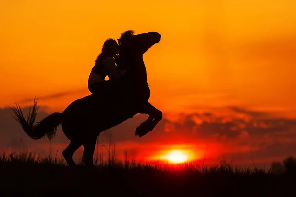 Montando Cavalo Que Fica Suas Patas Traseiras Contra Pôr Sol — Fotografia de Stock