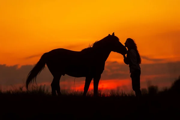 Μια Γυναίκα Ένα Άλογο Τον Φιλούν Στα Ρουθούνια — Φωτογραφία Αρχείου