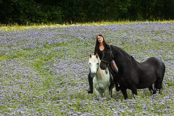 Mor çiçeklerle dolu bir tarlada siyah bir frizle beyaz bir atın üstünde güzel bir kadın.
