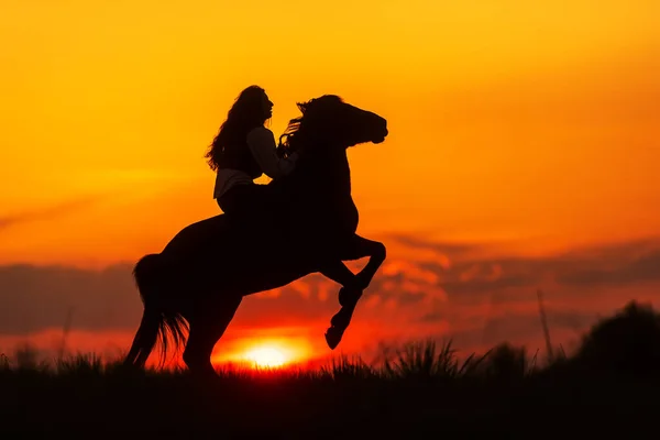 後ろに夕日が沈む馬に乗っている女性のシルエット — ストック写真