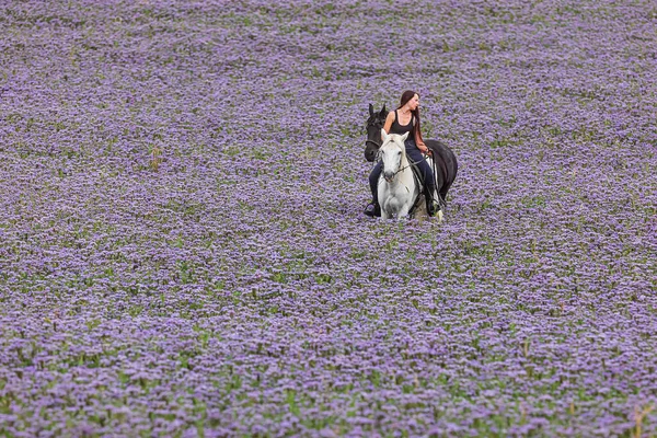 Una Giovane Donna Siede Cavallo Bianco Conduce Frisone Nero — Foto Stock