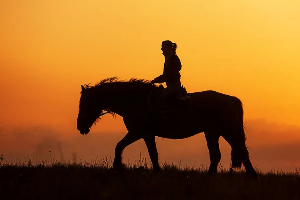 Silhouette Einer Jungen Frau Die Auf Einem Richtig Großen Pferd — Stockfoto